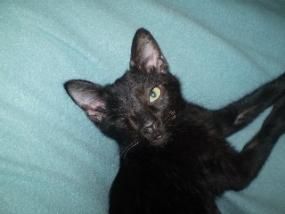 Hydra (Fotos do Antes e Depois)