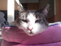 Akina (Fotos do Antes e Depois)